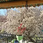 Bed & Breakfast La Mirabelle - Familiale De Charme En Provence 3*