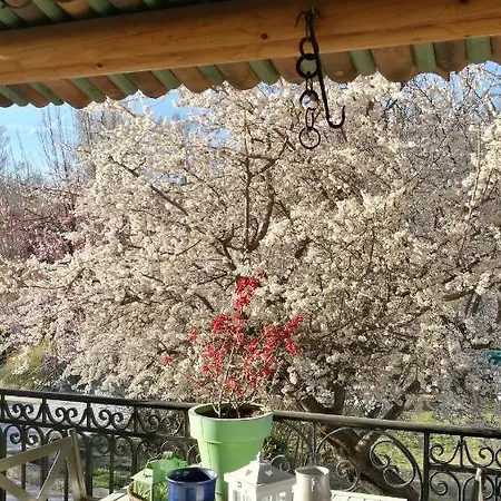 Nocleg ze śniadaniem La Mirabelle - Familiale De Charme En Provence 3*