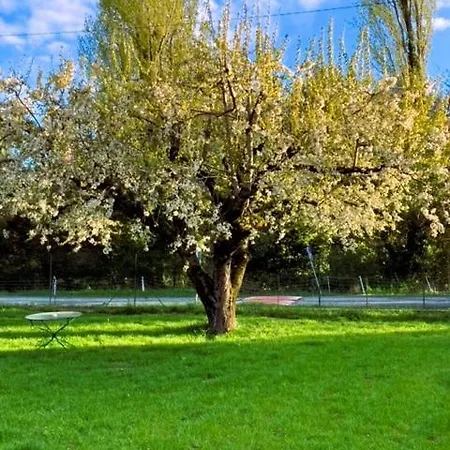 La Mirabelle - Familiale De Charme En Provence 3*